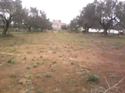 Lotissement viabilisé 650 m Hammamet Nord AV