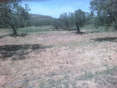 Terrain 1300 m pas loin Hammamet