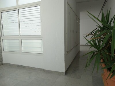 Appartement CYCAS 1 LA MARSA