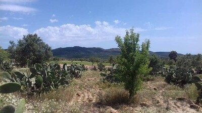 terrain de 2700 av à hammamet