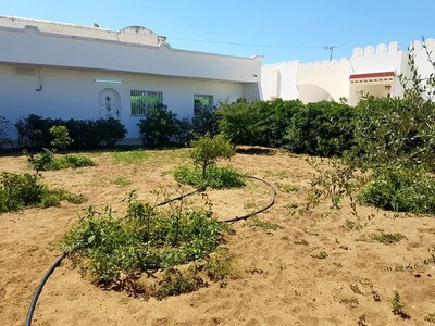 Maison Fawara à Hammamet
