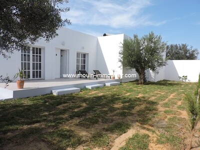 Reference A Villa the two olive trees