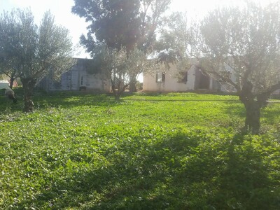 FERME AGRICOLE SISE À GOUBELLAT 875 Ha