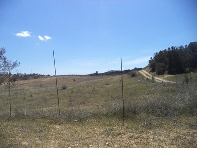 روعة للبيع فرصة 1 هكتار + 8000م فيه الماء و ضوء