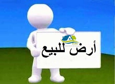 تقسيم لمجموعة أراضي في قليبية
