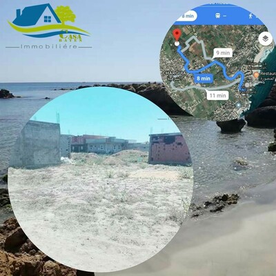 field opportunity to kelibia