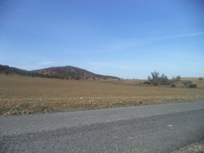 32 hectares to jradou blue title