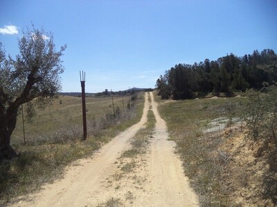 case + 8000 to zeriba zaghouan 55MD hectare