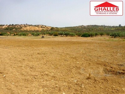 lots de terrains à bni wael