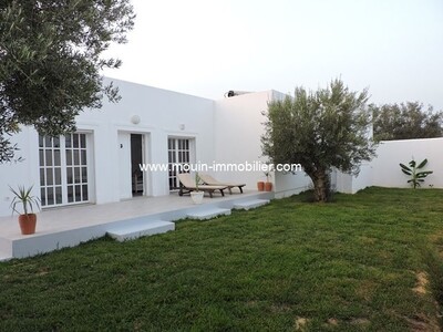 The two olive trees in Hammamet av villa near theatre