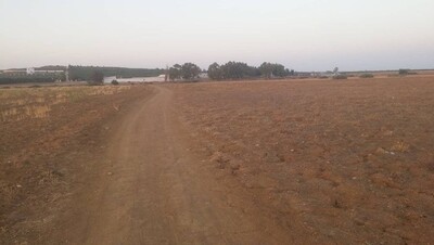 a vendre hectare +7000 à dwikhla hammamet sud