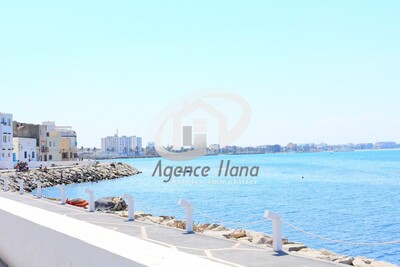 Arab House borj erras has low price