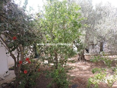 Maison Linda A à Barraket Essahel