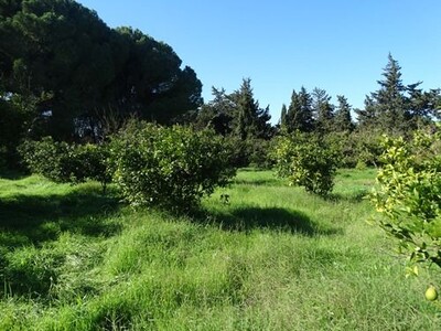 Ferme MANZEL BOUZELFA NABEUL