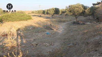 Terrain à vendre a jabnoun a coté yassmine hammamet