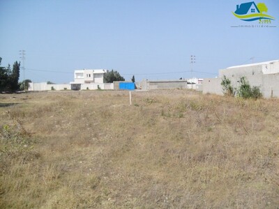 Two lots in kelibia opportunity