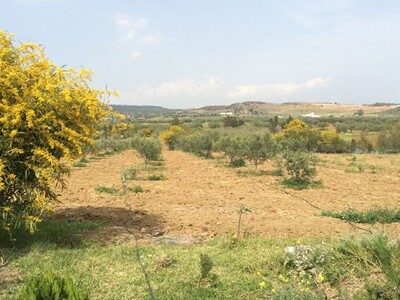 Ferme IKBEL	Réf: latrach