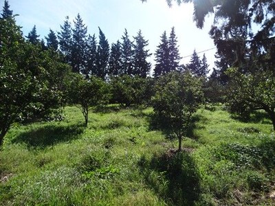 Ferme Menzel Bouzalfa	Réf: