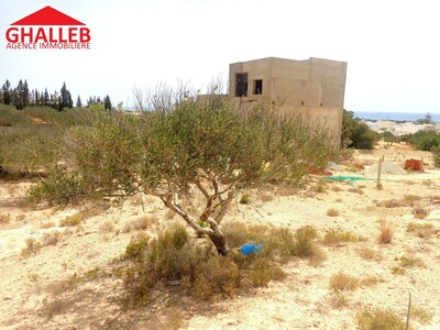 467m vu mer à Hammamet viabilisé