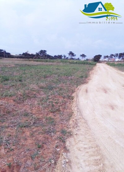 lotissement à dar allouche vu sur mer