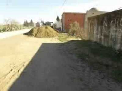 field borj hfaydh hamammet