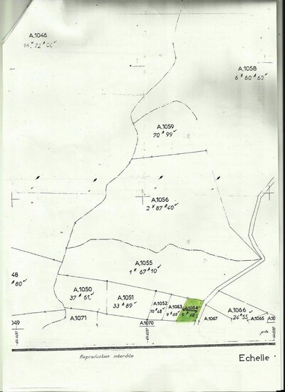 field sidi maamer hamammet