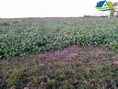 أرض للبيع في قليبية تبلغ مساحتها 8500 م²