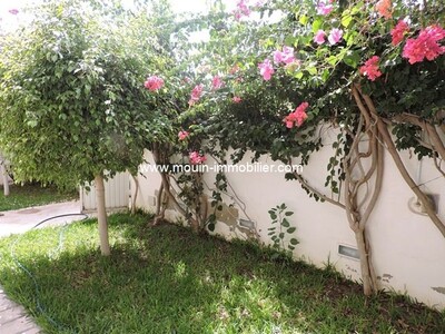 Villa of the Ficus AV to AFH Mrezka city