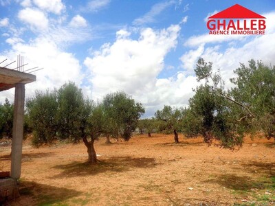 terrain a vendre 677m