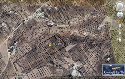 terrain 2 hectares tafirnin hammamet