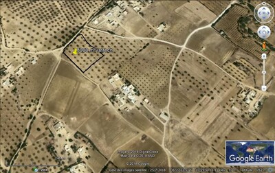 8000 m² to Lee bir James hammamet