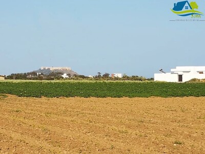 terrain de 1000 m² à kélibia