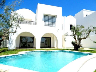 Beautiful villa with pool area craxi hammamet