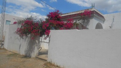 AV Maison bougainvillier 300 a Hammamet tt
