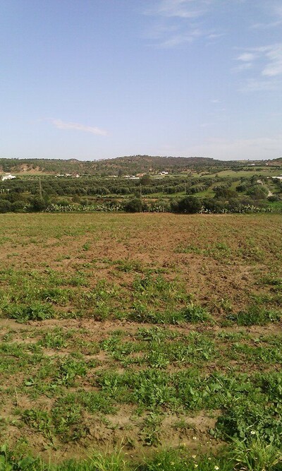 terrain de 1000 à 20MD à hammamet