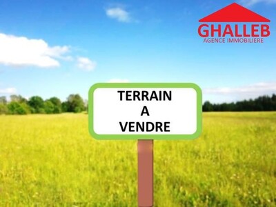 lot de 300m sur la route goudronné à hammamet dwikhla