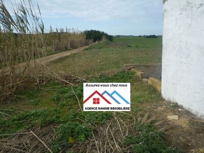 Terrain agricole sakwi de 6257 prêt de la mer