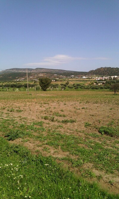forssaaa terrain de 1000 à hammamet 20MD