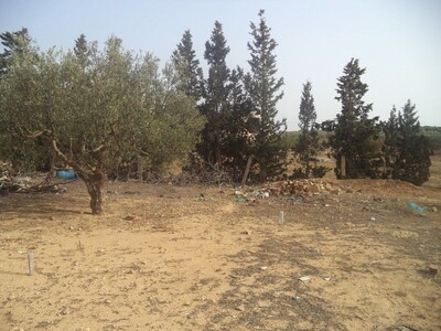 lots at low price in South hammamet