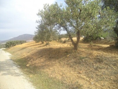 field of 2500 m with olivier in hammamet