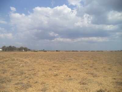 av hectare+7000 à dwikhla hammamet sud