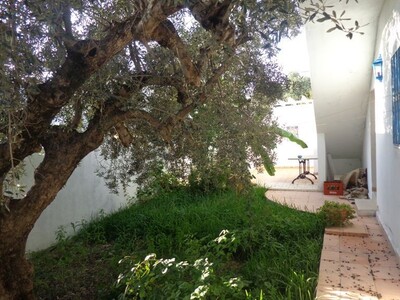 av maison avec studio pas loin de Hammamet