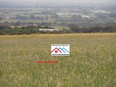 Terrain agricole de 1hect et 3810 t bleu