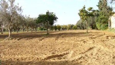 A vendre terrain agricole situé à cité Moura