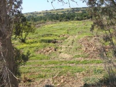 A vendre terrain sur la route de tunis