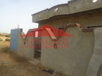 a vendre une maison à la compagne de Hammamet sud sidi Hammed