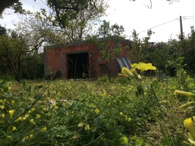 micromaison dans une ferme