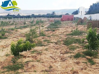 micro ferme de 6500 m² à haouaria ne ratez pas
