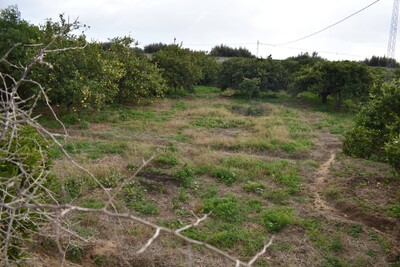 Av un terrain de 900 m² planté d'arbres variés a Hammamet