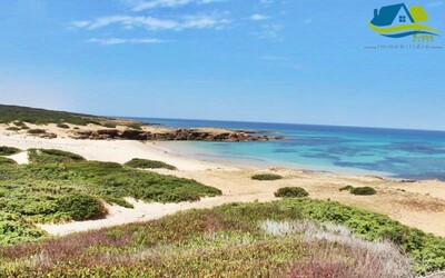 Hectare à sidi daoued